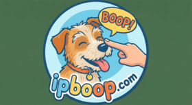 IPBoop.com — free IP address lookup tool to find your public IP, ISP, and location